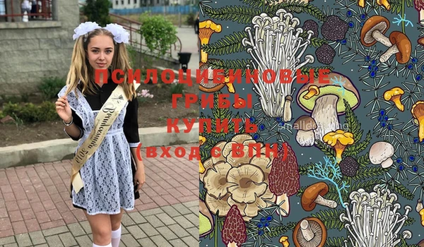 Альфа ПВП Козловка