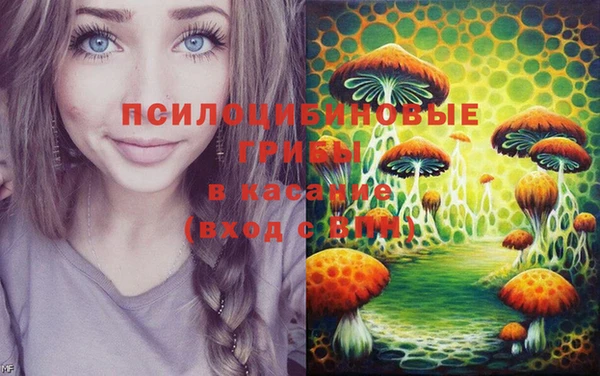 Альфа ПВП Козловка