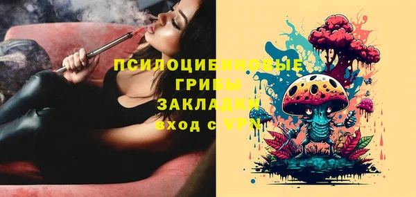 СК Кодинск