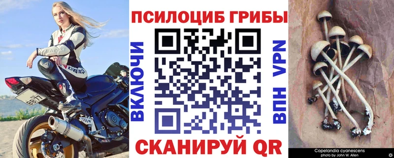 Псилоцибиновые грибы мицелий  Купить  Дудинка 